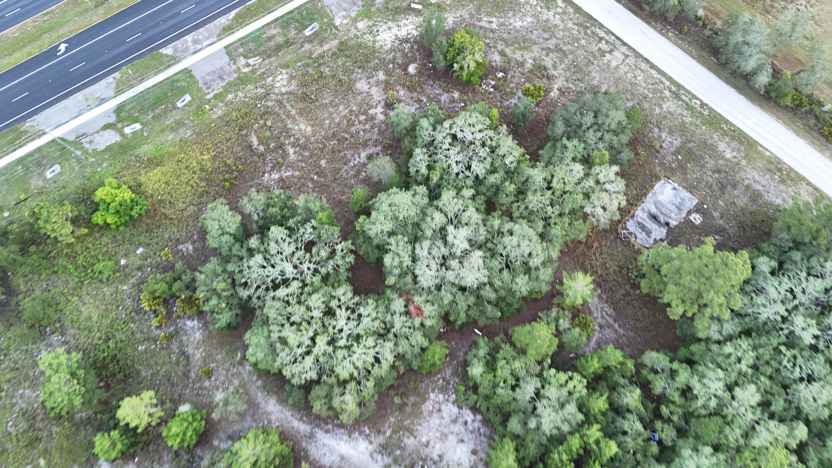 HERNANDO COUNTY FIRE STATION — photo 1