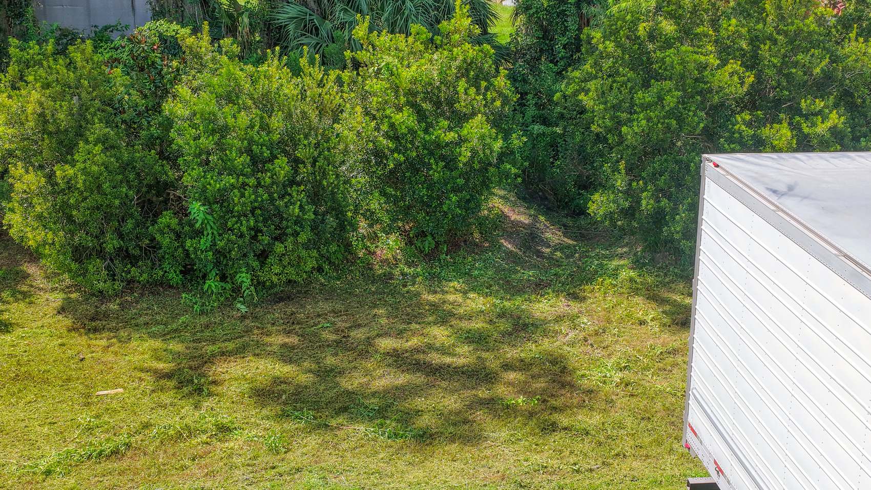 LOVE'S — photo 7