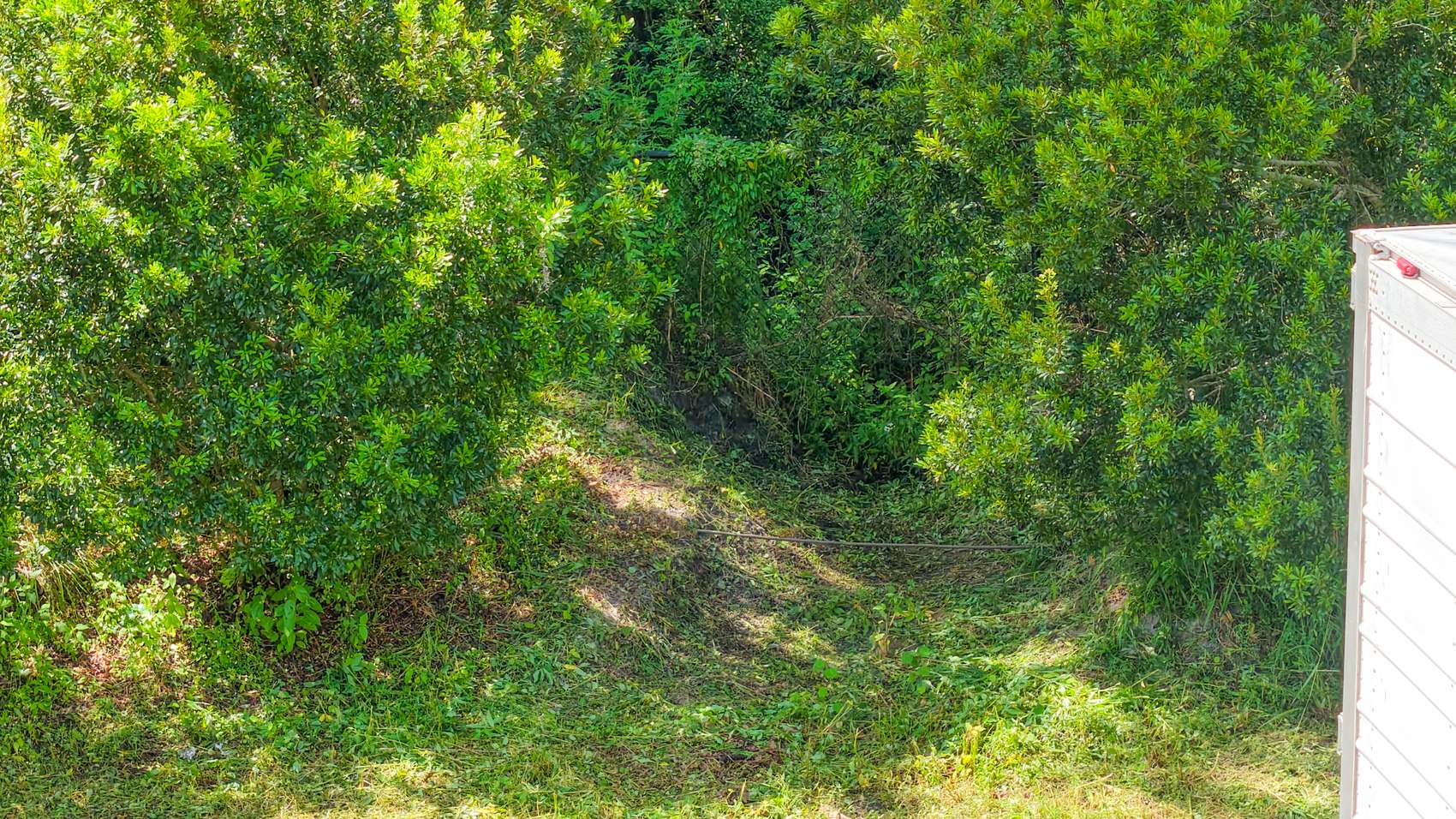 LOVE'S — photo 8